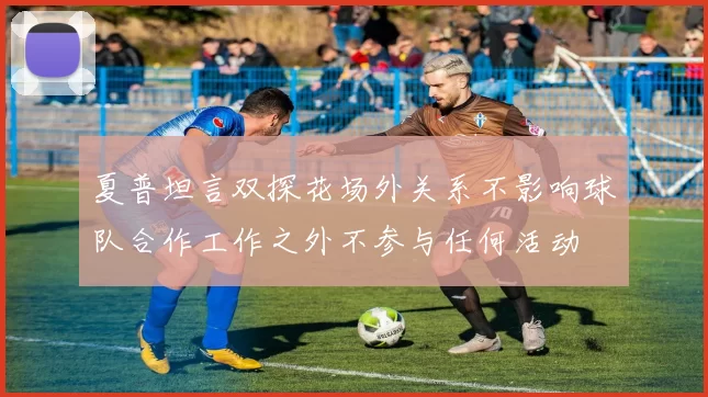夏普坦言双探花场外关系不影响球队合作工作之外不参与任何活动